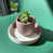 Tea Rose