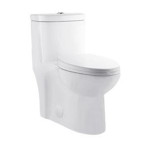 https://assets.wfcdn.com/im/90184140/resize-h300-w300%5Ecompr-r85/1166/116682247/Sublime+One-Piece+Elongated+Dual-Flush+Handle+Toilet+1.28+gpf.jpg