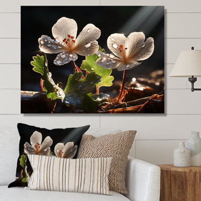 " Gray Geraniums Field III "