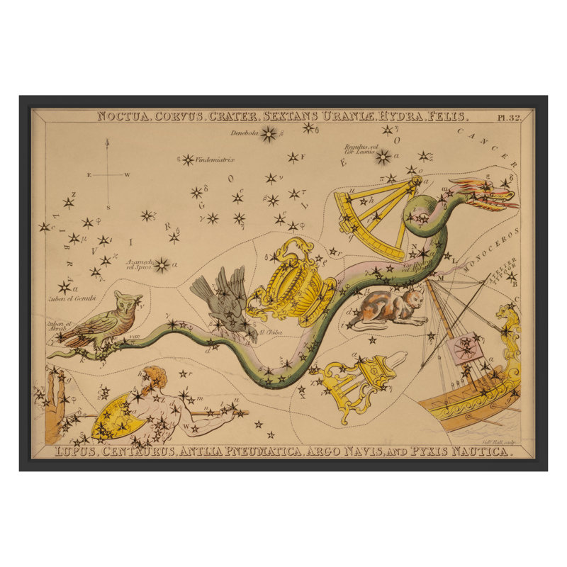 Noctua Print by Grand Archives, Black Framed, 32" H x 45" W