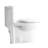 1.1/1.60 GPF Dual-Flush One Piece Toilet