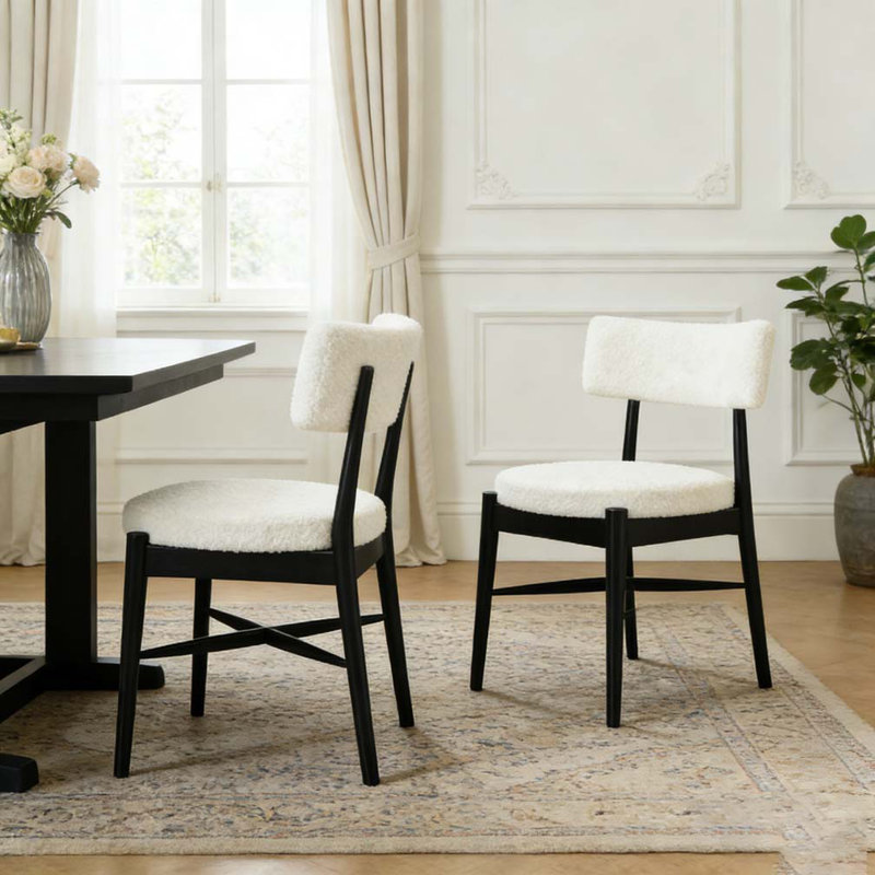 Modern Dining Chairs