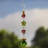 Garyon Abstract Crystal