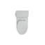 Reach™ 1.28 GPF Water Efficient Elongated Toilet-107149309