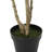 94.5'' Faux Eucalyptus Tree in Planter