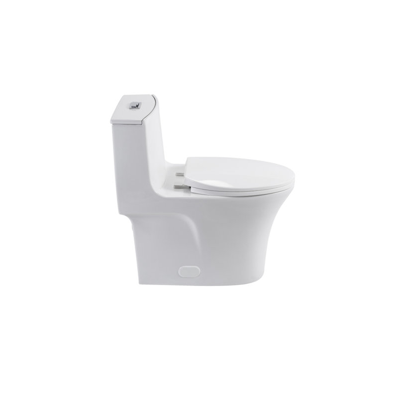 1.1/1.60 GPF Dualflush One Piece Toilet,Button On Tank Top Strap, Watersaving Elongated Comfort Height Floor Mounted, Soft Closing Seat,1000 Gram Map Flushing Score Toilet, Gloss White GW002
