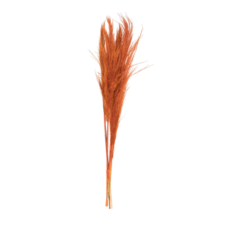 46'' Grass