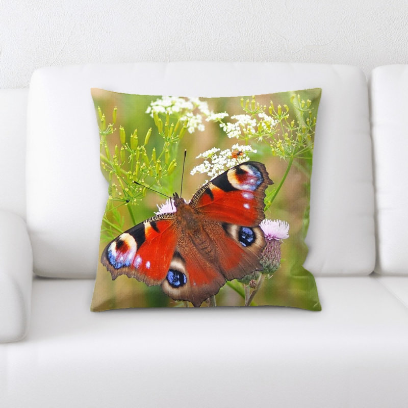 Coussin de papillon peacock