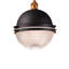 Luminaire suspendu d'extérieur 1 lumière en bronze huilé / laiton antique 13,25 po Pepperdine