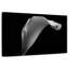 Lys Calla monochrome-810851423