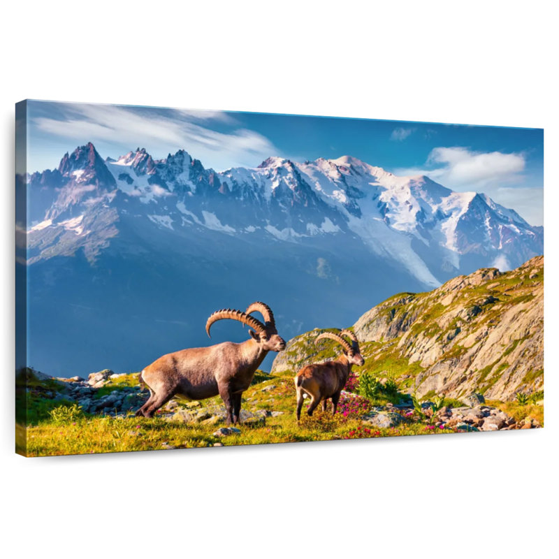 Alvord Mont Blanc Ibex, 16" H x 24" W
