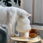 Lampe poly colombe blanche