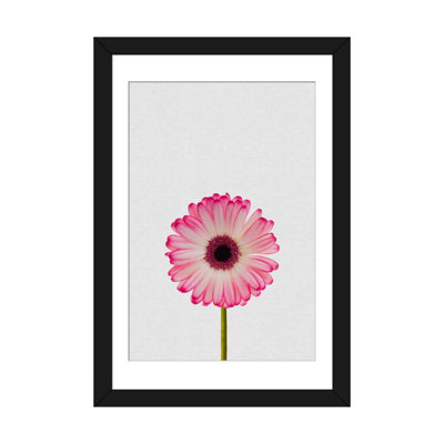 «Daisy», impression sur toile