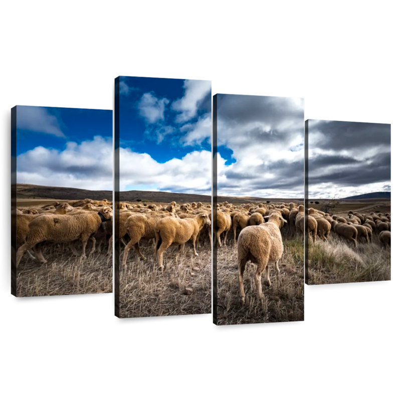 Brampt Soria Sheep Flock, 27" H x 43" W