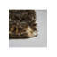 Leopard Throw Blanket