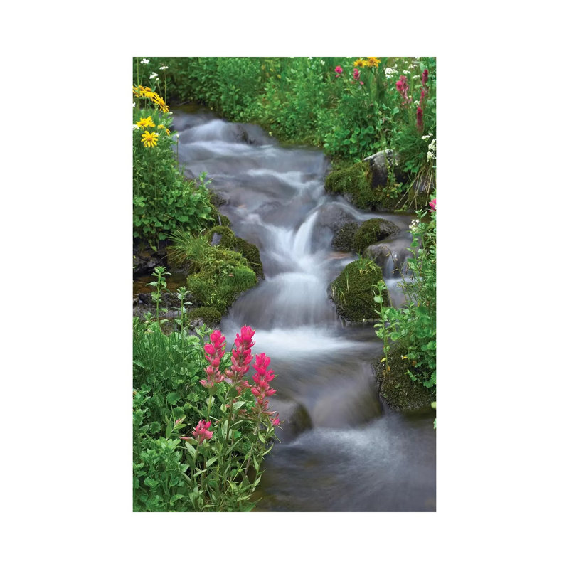 Orange Sneezeweed and Indian Paintbrush Beside Stream 1 Piece Wrapped Canvas Wall Art, 20.32 cm H x 30.48 cm W
