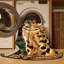  Tapis lavable pour chat Golden Golden-1917205237