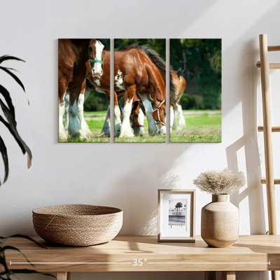 Clydesdale Horses