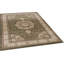 Natalyah Oriental Area Rug in Green/Brown