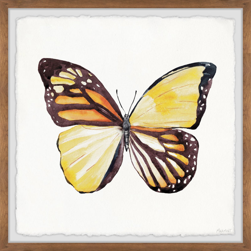 Distinct Wings - Single Picture Frame Painting, 30cm H x 30cm W x 3.81cm D