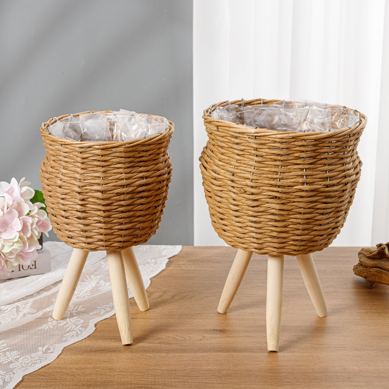 Penalosa Pot Planter