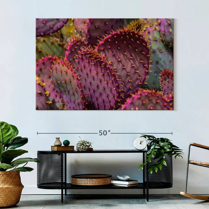 Harnek Angel Wing Cactus, 34" H x 51" W