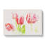 Beautiful Pink Tulips - Wrapped Canvas-56657570
