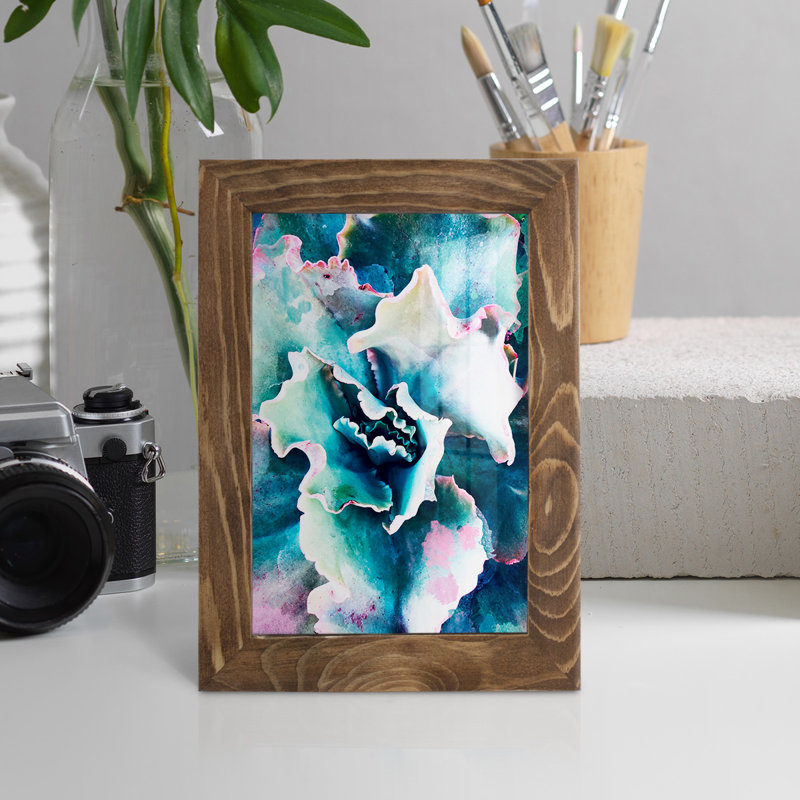 «Pastel Succulent Beauty I», reproduction de cadre photo simple, H 6 po x l 4 po x P 1 po, Noyer