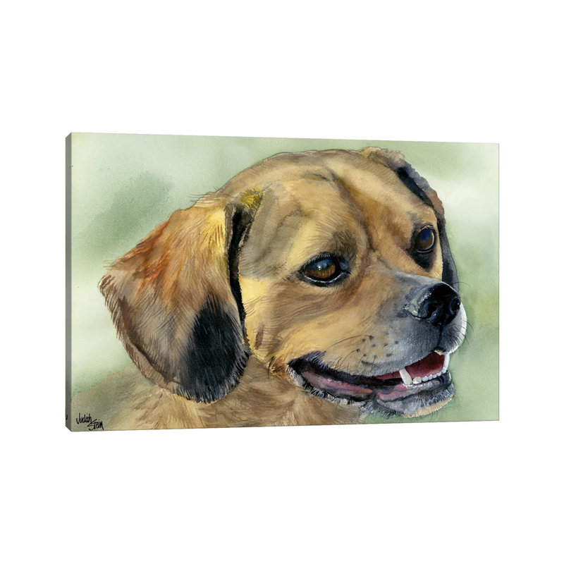Puggle Bug - Puggle Dog by Judith Stein - Wrapped Canvas Painting, 20.32cm H x 30.48cm W