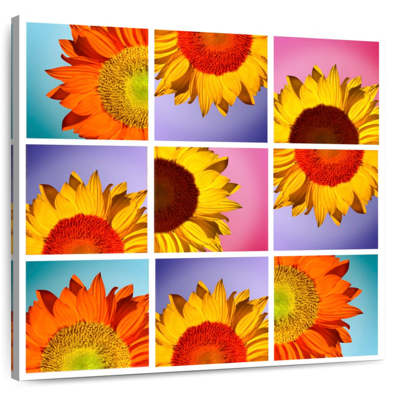 Harnek, collage de tournesols