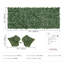 Plastic Border Fencing-2118309462