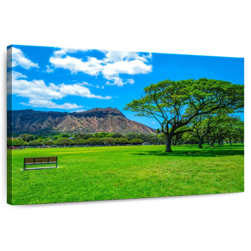 Tête de diamant Sireci du parc Waikiki, H 34 po x l 51 po
