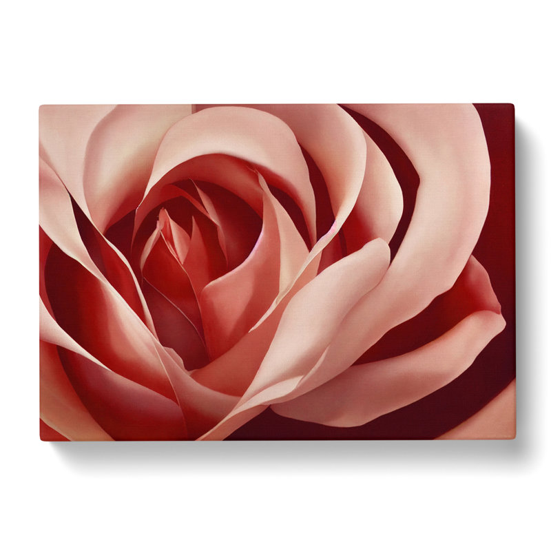 Unforgettable Rose Flower - Wrapped Canvas, 50cm H x 76cm W x 3cm D