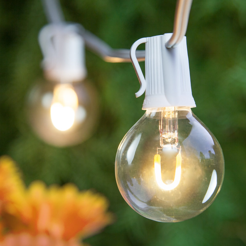Outdoor 25 - Bulb 25'' Plug-in Globe String Light