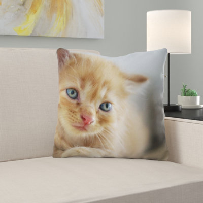 Coussin pour chat