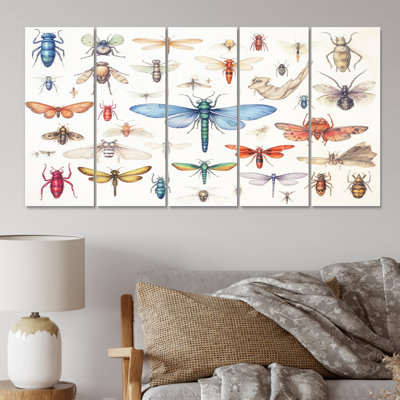 Tiny Insect Wonders I - animaux, reproduction sur toile - 5 panneaux égaux