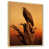 Cadre naturel flottant