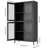 4-shelves Metal File Cabinet With Material For Office - Black Freestanding Bookcase Classic Style Study