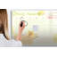 Magnetic Glass Dry Erase Board