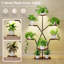 Plant Stand-858994702