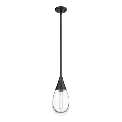 1 - Light Single Drop Pendant Pendant