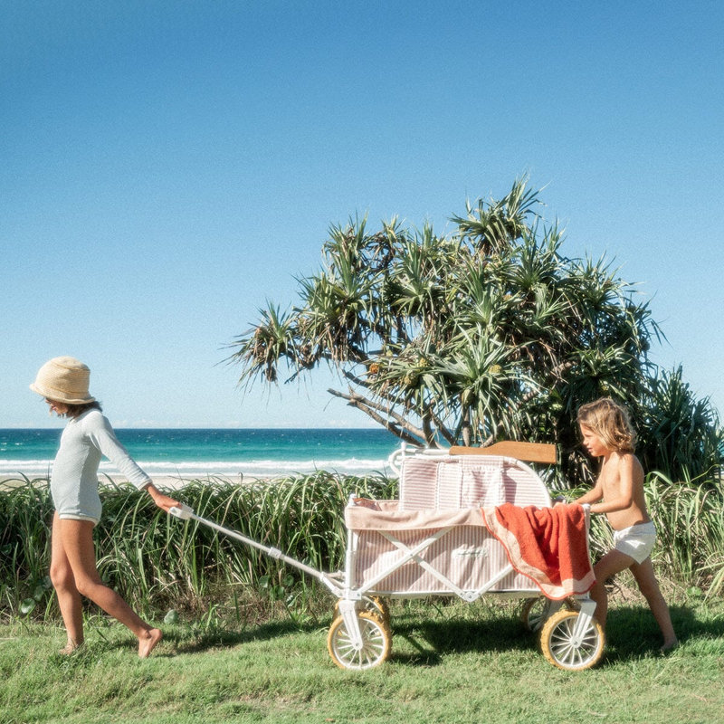 Folding Beach Cart, Pink