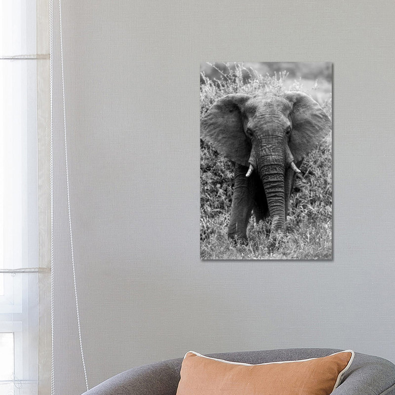 Elephant In The Bush by Anders Jorulf - Wrapped Canvas Print, 66.04 cm H x 45.72 cm W x 1.91 cm D
