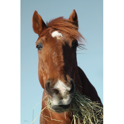 Feeding Time by Sue Schlabach - Wrapped Canvas Print