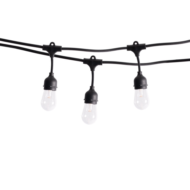 Leonor Outdoor 12 - Bulb 24'' Plug-in LED Globe String Light