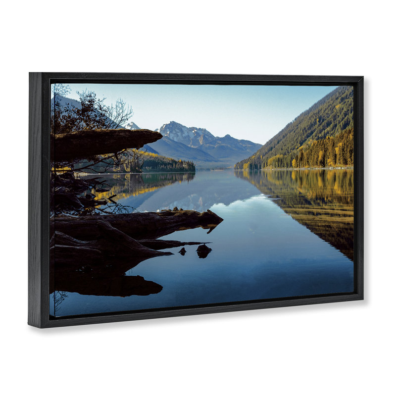 Cadre flottant Evergreen Miroirs River Reflection, design par Madison Starnes, Cadre flottant noir de jais, H 17 po x l 25 po