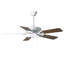 Ventilateur de plafond standard à 5 pales 52 po avec chaînette Ragnar-27773223