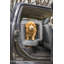 Sac de transport pour animaux Dakota-69750013