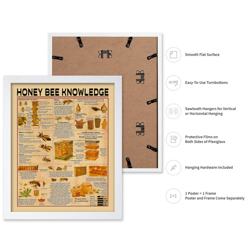 Connaissance de l'abeille, Poster, 24"H x 32"W, White Framed