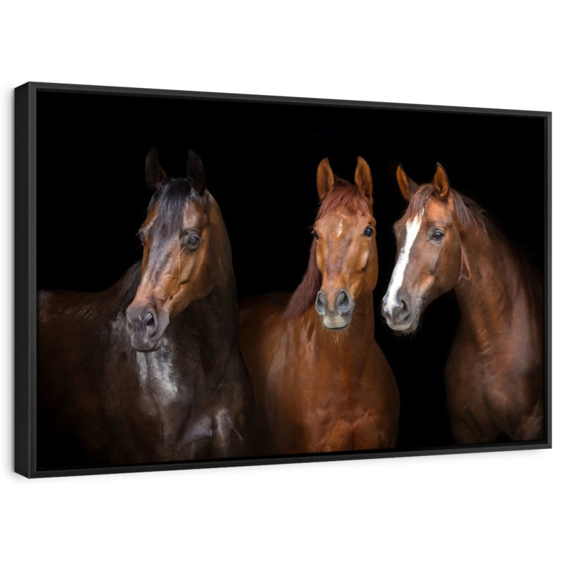 Animal «Brown Stallion Horses, reproduction sur toile», H 25 po x l 37 po